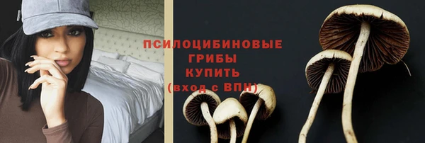 apvp Абинск