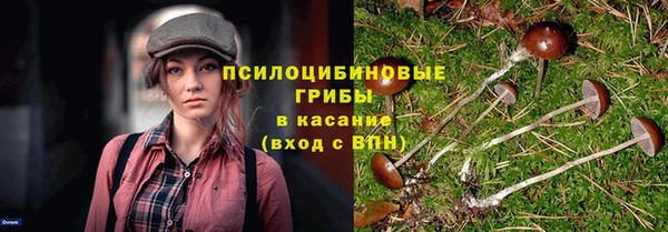 apvp Абинск