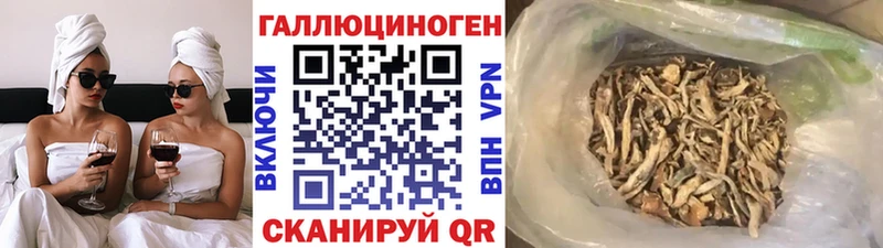 купить наркоту Исилькуль Псилоцибиновые грибы мухоморы